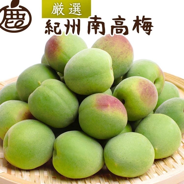 <6月発送>厳選 紀州南高梅(青梅)3kg+250g(傷み補償分)【朝摘み・とれたて直送便】【梅干し・梅酒・梅ジュース】【和歌山産】 和歌山県美浜町16000果物・フルーツ