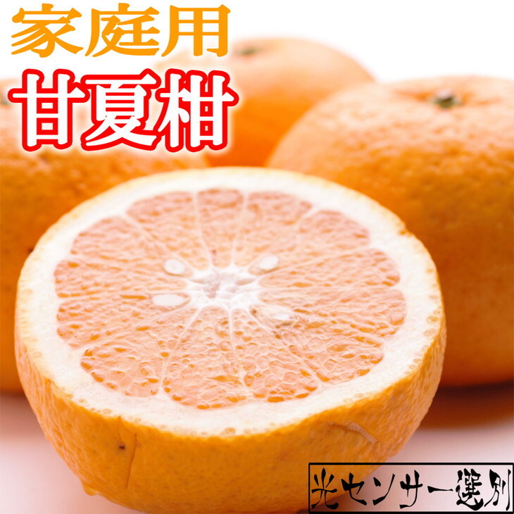<4月より発送>家庭用 甘夏柑10kg+250g(傷み補償分)◇【初夏のみかん・旬の果物】【有田産】【光センサー食べ頃出荷】【わけあり・訳あり】 ※北海道・沖縄・離島への配送不可 ※2026年4