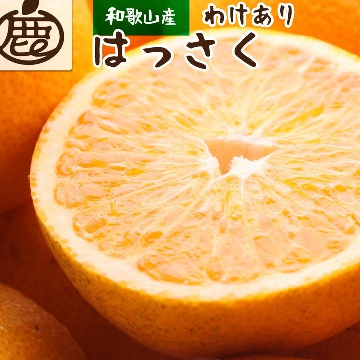 <1月より発送>家庭用 はっさく10kg+250g(傷み補償分) | 八朔みかん わけあり 訳あり ワケアリ ※2026年1月上旬〜3月下旬頃に順次発送予定 ※北海道・沖縄・離島への配送不可 ◇和歌山県