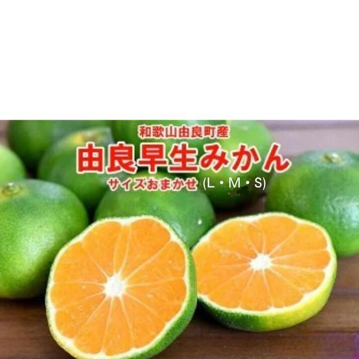 和歌山由良町産 由良早生みかん 約5kg サイズおまかせ(L・М・S)いずれかお届け◇ ※北海道・沖縄・離島への配送不可 ※2025年10月上旬〜10月下旬頃順次発送予定和歌山県美浜町15000果物・