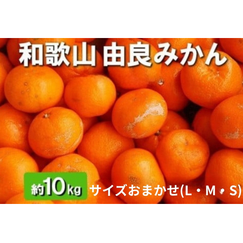 a̎RRǒY Rǂ݂ 10kg Gi TCY܂(kEMEr) kCEEւ̔zs 2025N11{`2026N1{ɏ\a̎Rl21000ʕEt[c