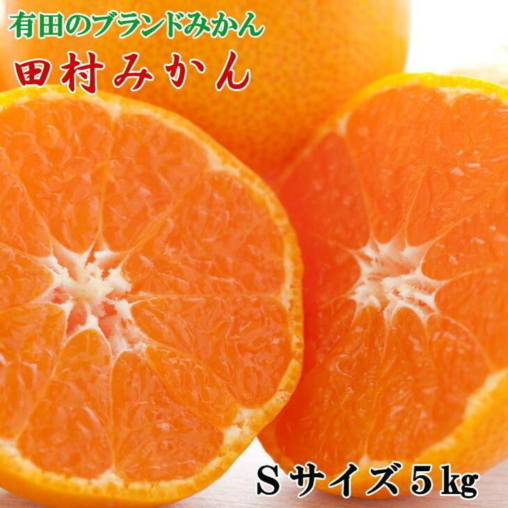 【ブランドみかん】田村みかん約5kg(Sサイズ・秀品) ※2025年11月下旬〜12月下旬頃に順次発送予定和歌山県美浜町17000果物・フルーツみかん・柑橘類