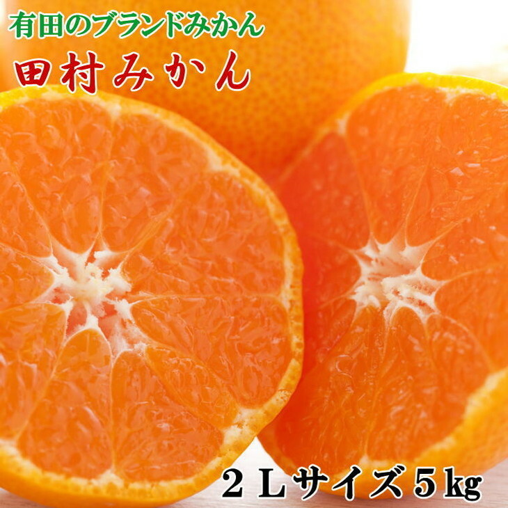 【ブランドみかん】田村みかん約5kg(2Lサイズ・秀品) ※2025年11月下旬〜12月下旬頃に順次発送予定和歌山県美浜町15000果物・フルーツみかん・柑橘類