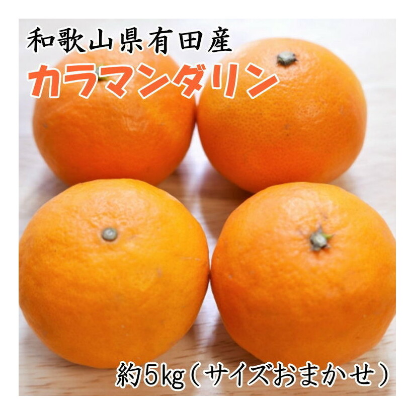 【濃厚春みかん】和歌山有田産カラマンダリン約5kg(サイズおまかせ)※2025年4月上旬〜4月中旬頃に順次発送予定和歌山県美浜町15000果物・フルーツみかん・柑橘類