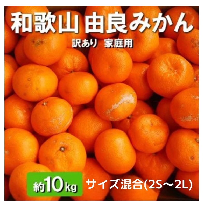 和歌山由良みかん 約10kg(2S〜2L)サイズ混合【訳あり・家庭用】※離島への配送不可 ※2025年11月下旬〜2026年1月中旬頃順次発送予定和歌山県美浜町15000果物・フルーツみかん・柑橘類