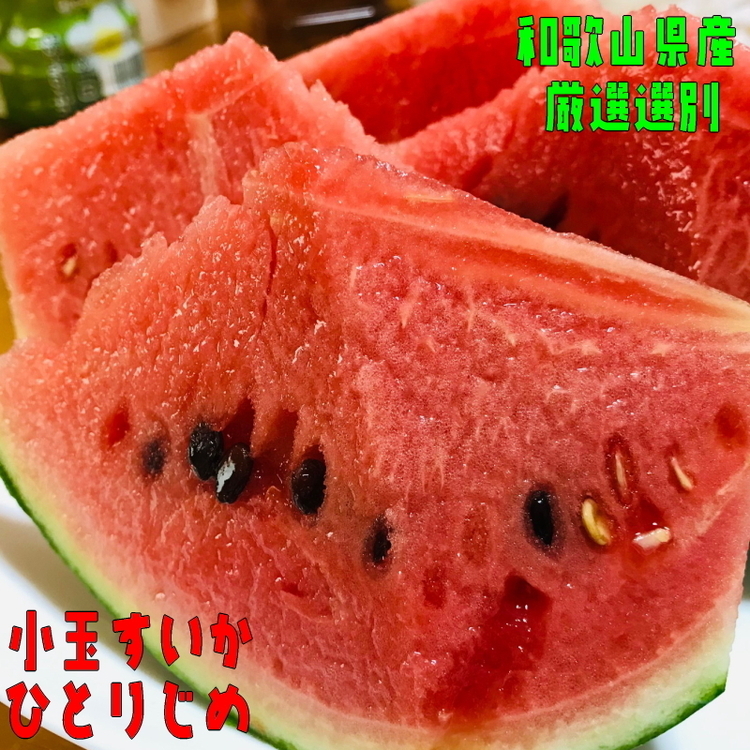 【先行予約】厳選!小玉すいか『ひとりじめ』 1玉入り ※着日指定不可 ※北海道・沖縄・離島への配送不可 ※2024年6月上旬〜下旬頃に順次発送予定和歌山県美浜町8000果物・フルーツメロ