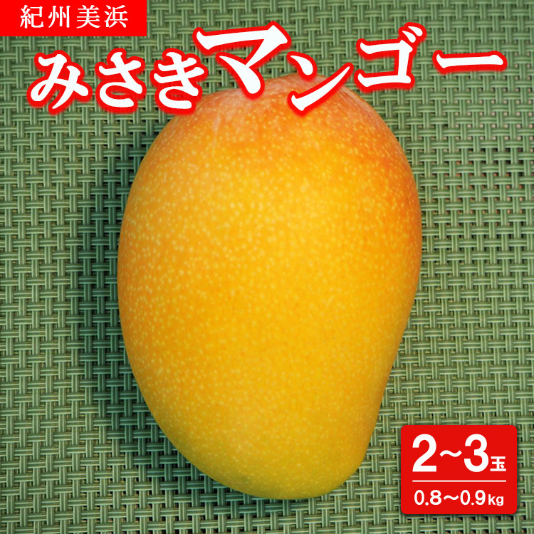 紀州美浜みさきマンゴー2〜3玉(0.8〜0.9kg) ※離島への配送不可 ※2025年7月下旬〜9月上旬頃に順次発送和歌山県美浜町15000果物・フルーツマンゴー・パイナップル