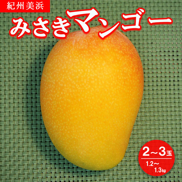 紀州美浜みさきマンゴー2〜3玉(1.2〜1.3kg) ※離島への配送不可 ※2025年7月下旬〜9月上旬頃に順次発送予定和歌山県美浜町21000果物・フルーツマンゴー・パイナップル