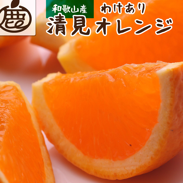 <2月より発送>家庭用 清見オレンジ6kg+180g(傷み補償分)◇【光センサー食頃出荷】【樹上完熟きよみオレンジ・清見タンゴール・清美】【わけあり・訳あり】※北海道・沖縄・離島への