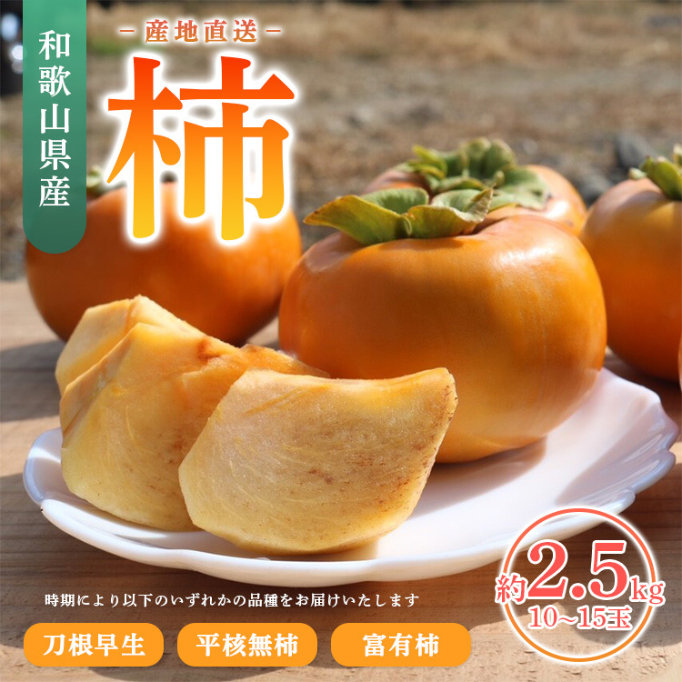 【産地直送】和歌山県産 柿 2.5kg ※着日指定不可 ※北海道・沖縄・離島への配送不可 ※2023年9月下旬〜11月下旬頃に順次発送予定和歌山県美浜町10000果物・フルーツその他 果物・フルーツ