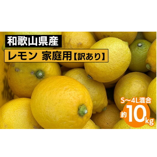 和歌山産 レモン 家庭用 10kg S〜4L混合【訳あり】 ※2026年1月中旬〜3月下旬頃に順次発送予定 ※北海道・沖縄・離島への配送不可和歌山県美浜町20000果物・フルーツみかん・柑橘類