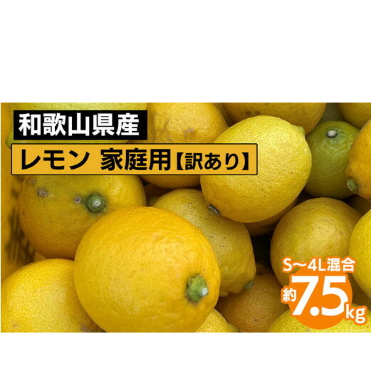 和歌山産 レモン 家庭用 7.5kg S〜4L混合 【訳あり】 ※2026年1月中旬〜3月下旬頃に順次発送予定 ※北海道・沖縄・離島への配送不可和歌山県美浜町16000果物・フルーツみかん・柑橘類