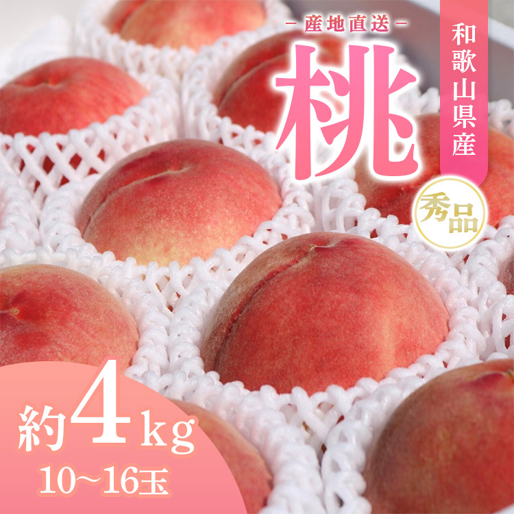 【産地直送】和歌山県産 桃(もも) 10玉〜16玉 秀品 ※着日指定不可 ※北海道・沖縄・離島への配送不可 ※2024年6月下旬〜8月下旬頃に順次発送予定和歌山県美浜町20000果物・フルーツ