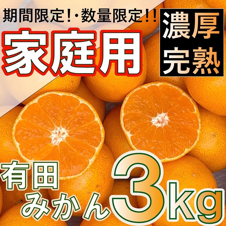 北真農園 有田みかん 家庭用 3kg 濃厚完熟 お試しサイズ ORYY推奨 ※2025年11月上旬〜12月下旬頃に順次発送予定和歌山県美浜町7000果物・フルーツみかん・柑橘類