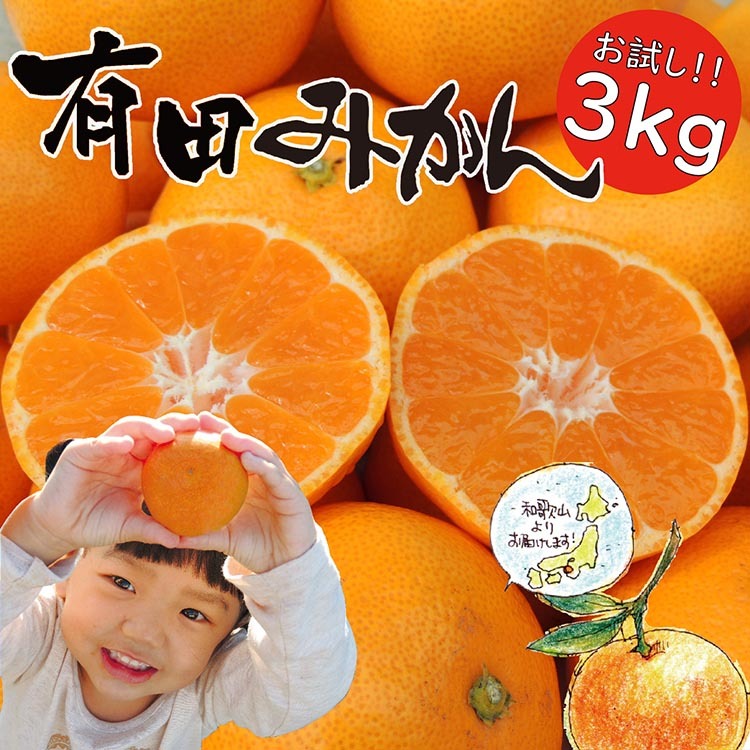 はじめまして 有田みかん(和歌山県産) お試し3kg【数量限定】/ORYY推奨 ※2025年11月上旬〜12月下旬頃に順次発送予定和歌山県美浜町8000果物・フルーツみかん・柑橘類