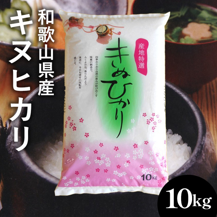 【先行予約】和歌山県産キヌヒカリ 10kg(2025年産) |米 コメ こめ 和歌山※2025年9月中旬頃より順次発送予定和歌山県美浜町30000米・パン白米