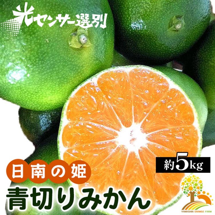 こだわりの青切りみかん 約5kg 農家直送 有機質肥料 100% サイズ混合 | みかん 柑橘 果物 くだもの 果実 フルーツ 和歌山 有田 ※北海道・沖縄・離島への配送不可 ※2025年9月下旬〜10月上旬頃