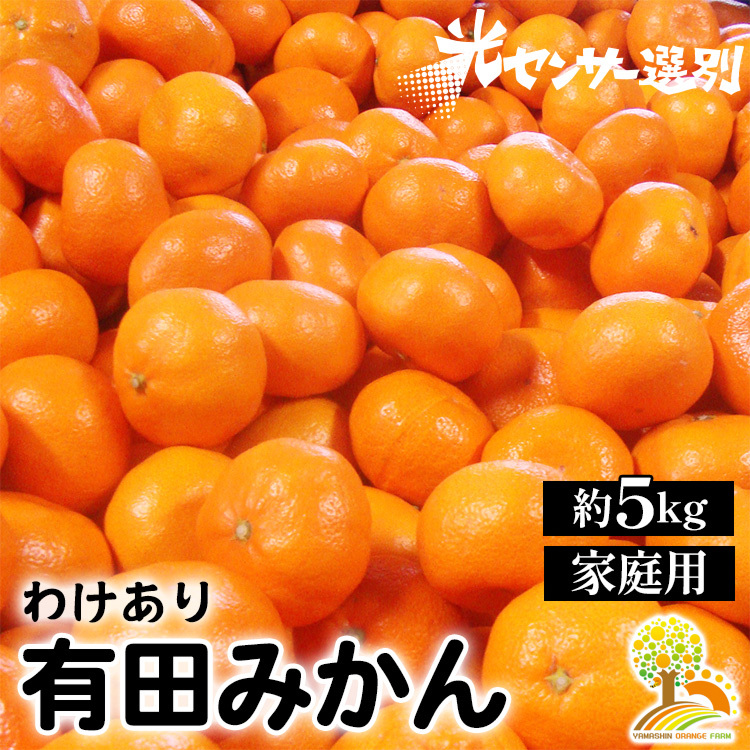 \光センサー選別/ 訳あり 有田みかん 約5kg  【ご家庭用】 ※着日指定不可 ※北海道・沖縄・離島への配送不可 ※2024年11月中旬〜2025年1月上旬頃に順次発送予定和歌山県美浜町9000果物・フ