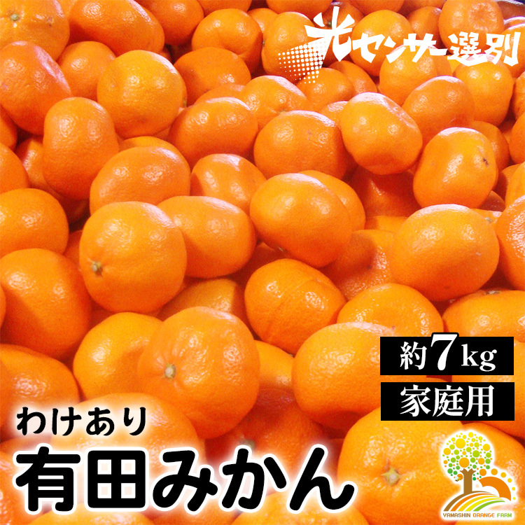 \光センサー選別/ 訳あり 有田みかん 約7kg  【ご家庭用】 ※着日指定不可 ※北海道・沖縄・離島への配送不可 ※2024年11月中旬〜2025年1月上旬頃に順次発送予定和歌山県美浜町10000果物・フ