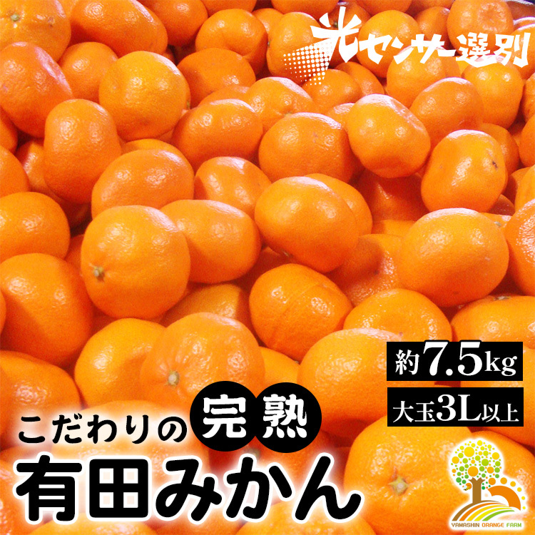 \光センサー選別/ 農家直送 有田みかん 約7.5kg 大玉3L以上 有機質肥料100% ※沖縄・離島への配送不可 ※2024年11月中旬〜2025年1月上旬頃に順次発送予定和歌山県美浜町9000果物・フルーツ