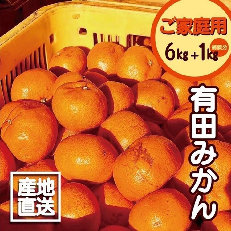 【訳あり】有田みかん 6kg+1kg保証分 サイズ混合 ※着日指定不可 ※北海道・沖縄・離島への配送不可 ※2023年11月中旬〜2024年1月下旬頃に順次発送予定和歌山県美浜町7000果物・フルーツみかん