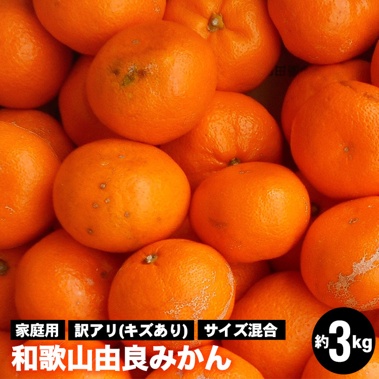 和歌山由良みかん 約3kg 訳あり 家庭用キズあり サイズ混合 ※離島への配送不可 ※2024年11月下旬〜2025年1月中旬頃までに順次発送予定和歌山県美浜町8000果物・フルーツみかん・柑橘