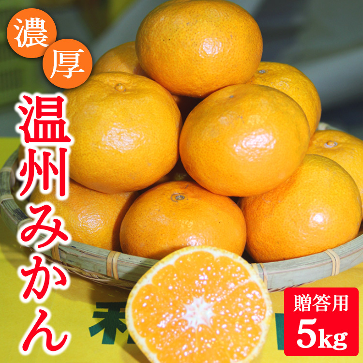 濃厚温州みかん贈答用5kg(和歌山天田みかん)◆ みかんの産地和歌山 北村農園直送 ※2025年12月上旬頃より順次発送予定和歌山県美浜町13000果物・フルーツみかん・柑橘類
