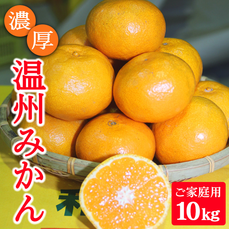 濃厚温州みかんご家庭用10kg(和歌山天田みかん)◆ みかんの産地和歌山 北村農園直送 ※2025年12月上旬頃より順次発送予定和歌山県美浜町13000果物・フルーツみかん・柑橘類
