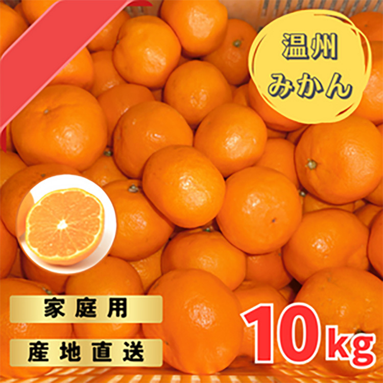 宮川早生みかんご家庭用 10kg箱入 | みかん 早生みかん 早生 訳あり わけあり 旬 柑橘 フルーツ 果物 果実 ミカン 産地直送 ※2025年11月下旬〜12月中旬頃に順次発送予定和歌山県美浜町16000果
