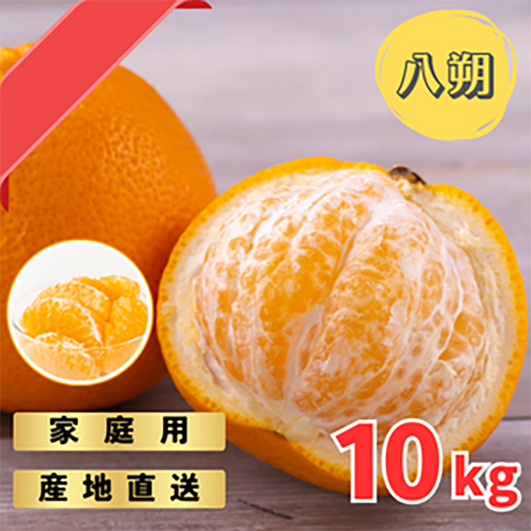 完熟木なりハッサクみかんご家庭用 10kg箱入 | はっさく みかん 八朔 訳あり わけあり 旬 柑橘 フルーツ 果物 果実 ミカン 産地直送 ご家庭用 ※2025年3月中旬〜4月中旬頃に順次発送予定和歌