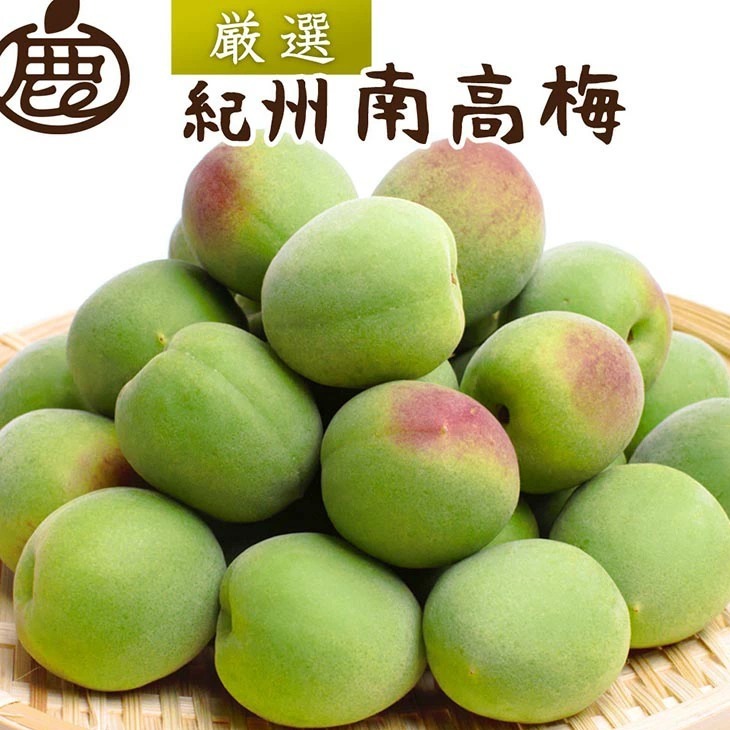 <6月発送>厳選 紀州南高梅(青梅)2kg+250g(傷み補償分)朝摘み・とれたて直送便】【梅干し・梅酒・梅ジュース】【和歌山産】和歌山県美浜町12000果物・フルーツ