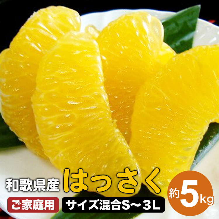 和歌山由良町産 はっさく 約5kg(訳あり)(御家庭用)サイズ混合(S〜3L) ※着日指定不可 ※2024年2月下旬〜4月下旬頃に順次発送予定和歌山県美浜町10000果物・フルーツみかん・柑橘類