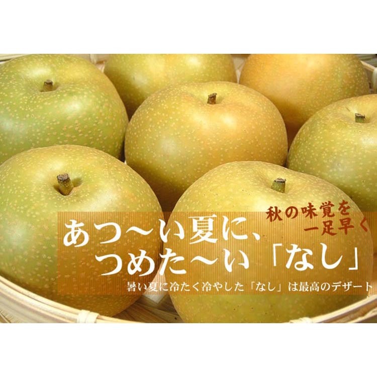 a̎R̗iȂjLi [4kg]yGiFTCY܂za̎RY t[c Iɍq{ ws 2024N8{`9{ɏ\a̎Rl18000ʕ