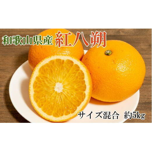 【希少品】和歌山県産紅八朔約5kg(サイズ混合) ※2026年1月下旬〜2月中旬頃に順次発送予定和歌山県美浜町12000果物・フルーツみかん・柑橘類