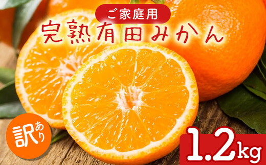 【先行予約】【数量限定】濃厚有田みかん(ご家庭用) 1.2kg(1kg+200g(傷み補償分))和歌山県美浜町6000果物・フルーツみかん・柑橘類