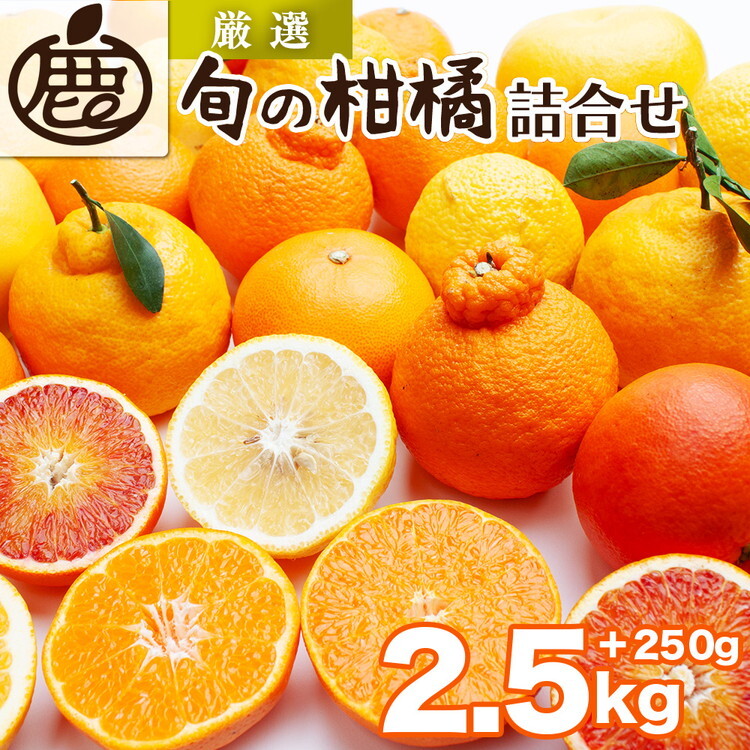 <1月より発送>厳選 柑橘詰合せ2.5kg+250g(傷み補償分)◇【有田の春みかん詰め合わせ・フルーツ詰め合せ・オレンジつめあわせ】【光センサー選別】 ※北海道・沖縄・離島への配送不可