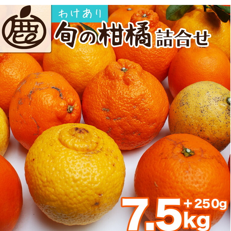 <1月より発送>家庭用 柑橘詰合せ7.5kg+250g(傷み補償分)◇【訳あり・わけあり】【有田の春みかん詰め合わせ・フルーツ詰め合せ・オレンジつめあわせ】【光センサー選別】 ※北海道・