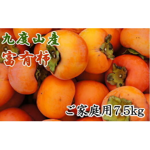 ≪柿の名産地≫九度山の富有柿約7.5kgご家庭用 ※2025年11月上旬〜12月上旬頃に順次発送予定和歌山県美浜町16000果物・フルーツその他 果物・フルーツ