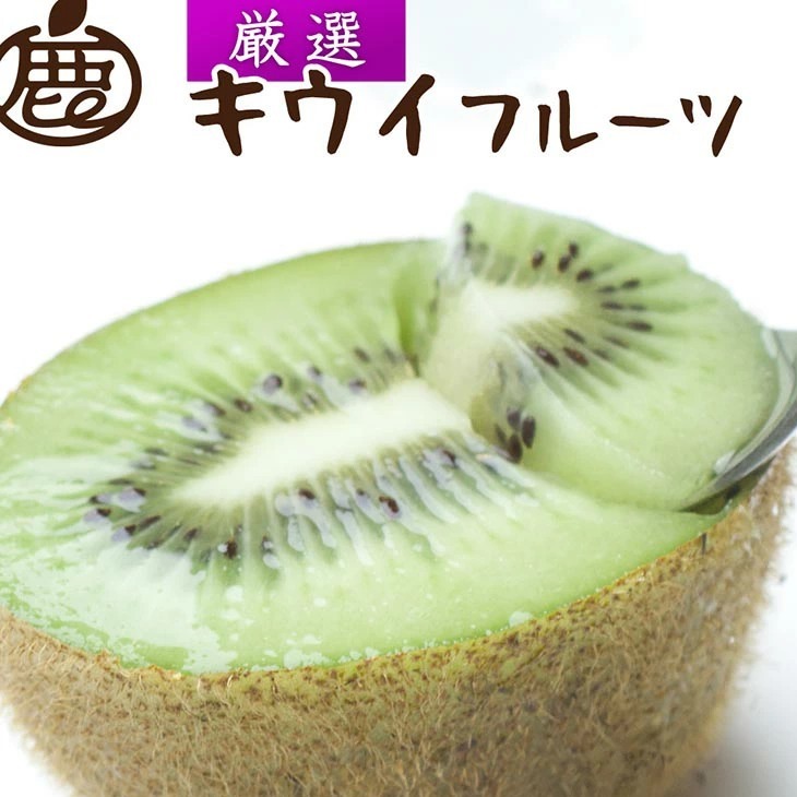 <2025年11月より発送>厳選 キウイフルーツ2.5kg+250g(傷み補償分)◇ ※北海道・沖縄・離島への配送不可 ※2025年11月中旬〜2026年4月下旬頃に順次発送予定和歌山県美浜町11000果物・フルーツ