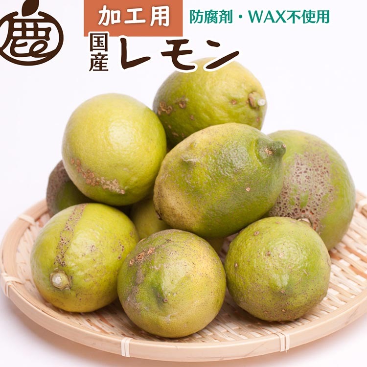 <9月より発送>加工用 黒潮レモン2.5kg+75g(傷み補償分)【和歌山有田産】【防腐剤・WAX不使用、安心の国産レモン】【わけあり・訳ありレモン】 ※北海道・沖縄・離島への配送不可 ※2024