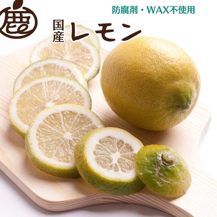 <9月より発送>レモン2.5kg+250g(傷み補償分)【和歌山有田産】【防腐剤・WAX不使用、安心の国産レモン】 ※北海道・沖縄・離島への配送不可 ※2025年9月中旬〜2026年4月下旬頃に順次発送予