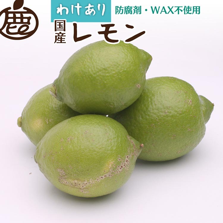 <9月より発送>家庭用 レモン5kg+250g(傷み補償分)【和歌山有田産】【防腐剤・WAX不使用、安心の国産レモン】【わけあり・訳ありレモン】 ※北海道・沖縄・離島への配送不可 ※2025年9月