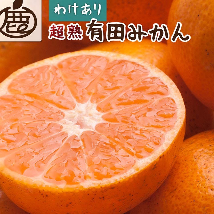 <2024年11月より発送>家庭用 超熟有田みかん7kg+210g(傷み補償分)【わけあり・訳あり】【光センサー選果】◇ ※北海道・沖縄・離島への配送不可 ※2024年11月上旬〜12月下旬頃に順次発送
