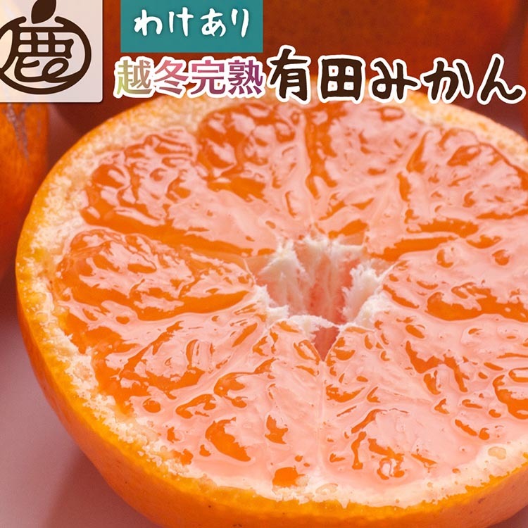 <2025年1月より発送>家庭用 越冬完熟みかん1kg+30g(傷み補償分)【ハウスみかん】【わけあり・訳あり】【光センサー選果】 ※北海道・沖縄・離島への配送不可 ※2025年1月中旬〜2月下旬頃