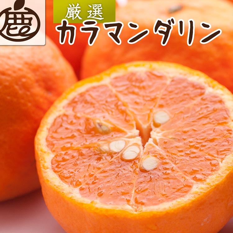 <4月より発送>厳選 カラマンダリン5kg+250g(傷み補償分)◇【南津海・なつみ】【希少な春柑橘】【みかんと同じように食べられます】 ※北海道・沖縄・離島への配送不可 ※2026年4月上旬