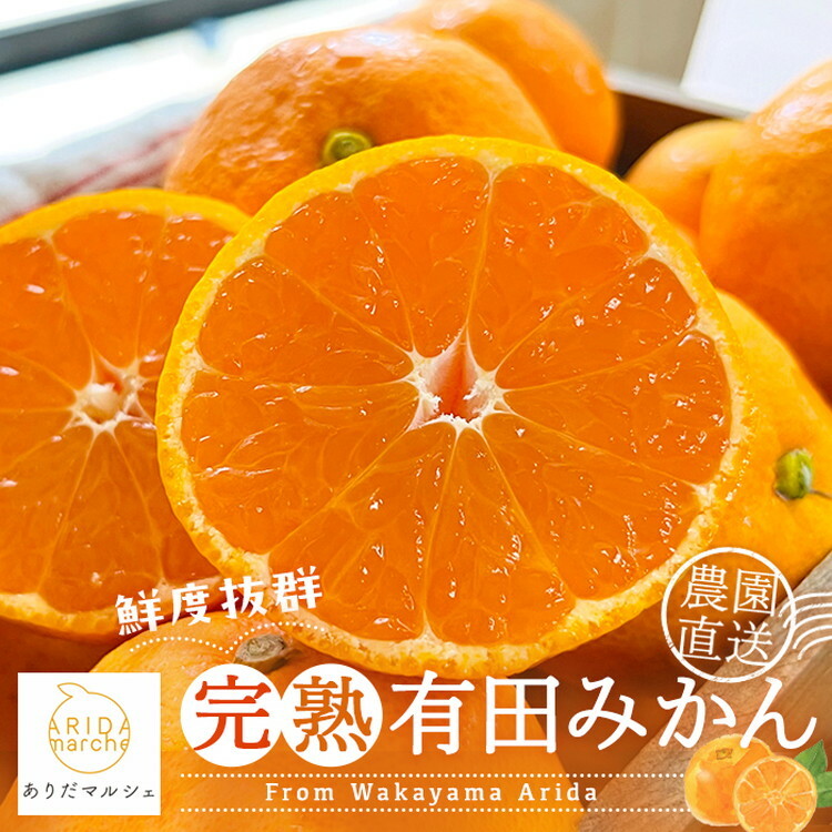 【先行受付 2025年11月〜発送】農園直送!完熟有田みかん 1.3kg(1.1kg+200g(傷み補償分)) ※北海道・沖縄・離島への配送不可 ※2025年11月上旬〜12月下旬頃より順次発送予定和歌山県美浜町6000果物・