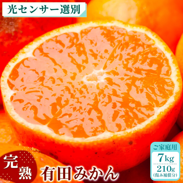 家庭用 完熟 有田みかん7kg+210g(傷み補償分)サイズ混合 ※北海道・沖縄・離島への配送不可 ※2024年11月上旬〜2025年1月下旬頃に順次発送予定和歌山県美浜町12000果物・フルーツみかん
