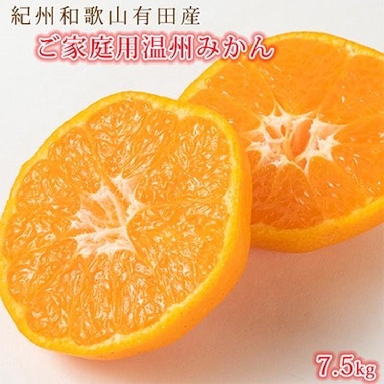 〈定期便〉【1・2・3月 全3回】紀州和歌山産旬の柑橘セット(みかん・不知火・清見) ※離島への配送不可和歌山県美浜町45000果物・フルーツその他 果物・フルーツ