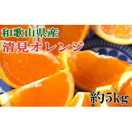 和歌山県産清見オレンジ約5kg(サイズ混合) 和歌山県美浜町12000果物・フルーツみかん・柑橘類