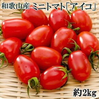 y2025N12oוza̎RY~jg}guACRg}gv2kgiSEMTCY܂jkCEEւ̔zs 2025N12{`12{ɏ\a̎Rl12000